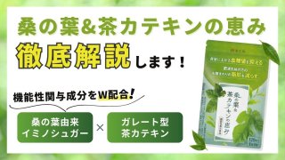 桑の葉&茶カテキンの恵みの口コミ評判を徹底調査【効果が気になる人必見】 