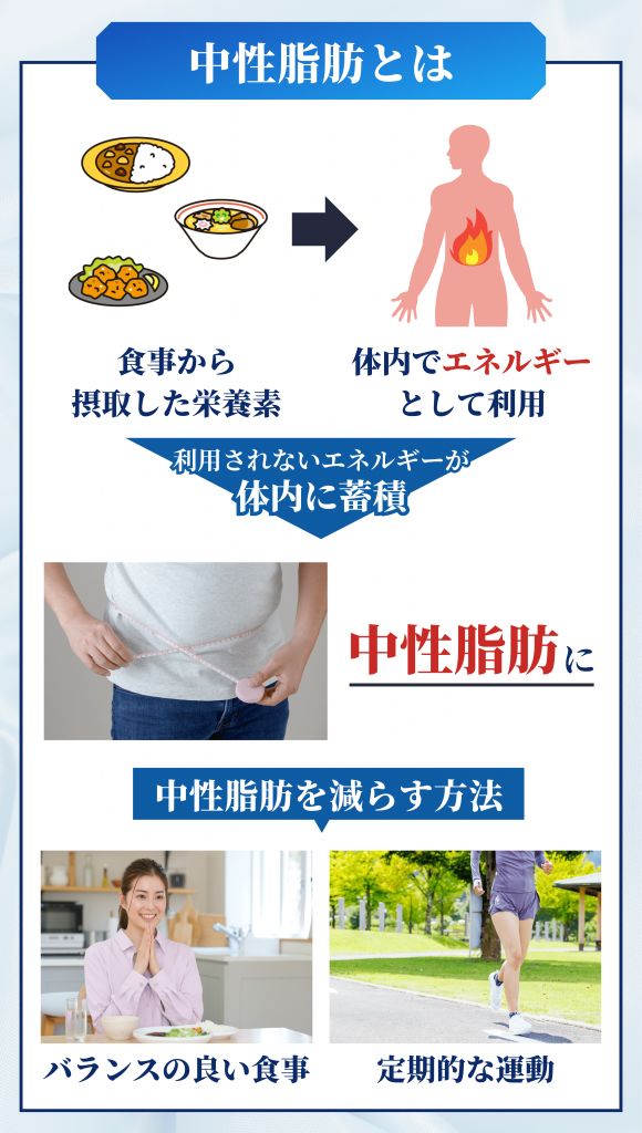 中性脂肪のお役立ち情報