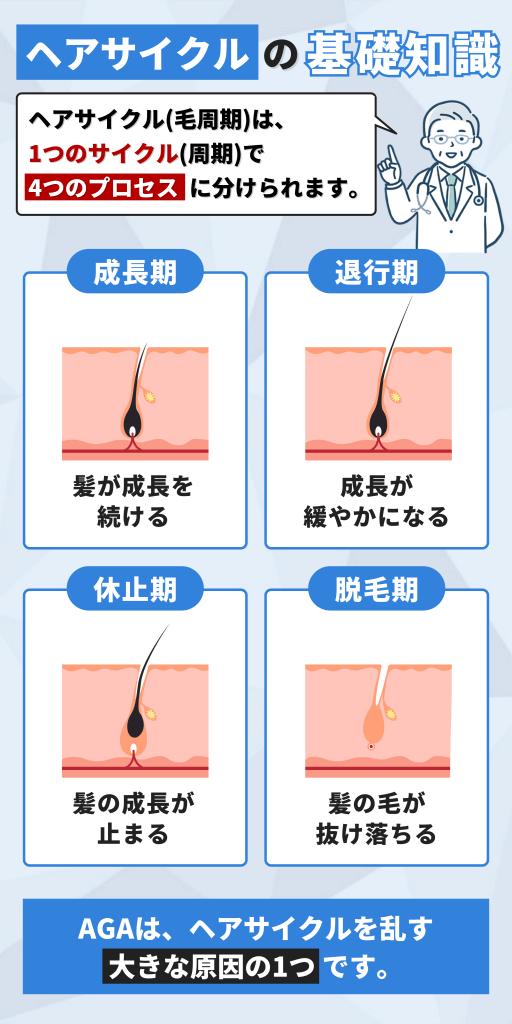 頭皮・毛髪のお役立ち情報