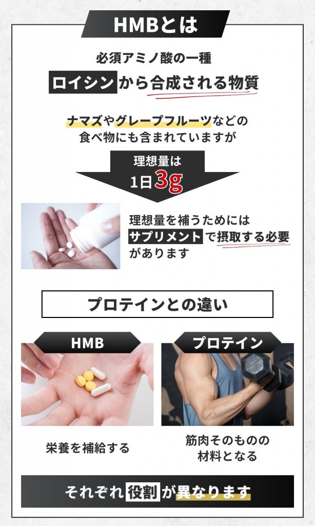 HMBのお役立ち情報