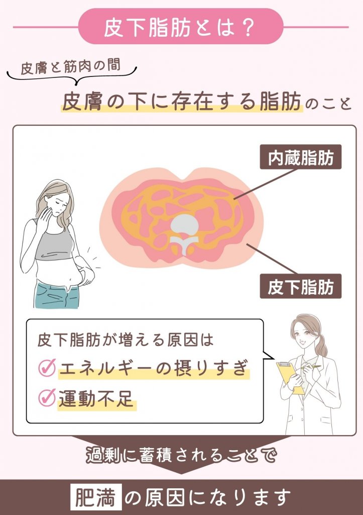 ダイエットに役立つ皮下脂肪の基礎知識