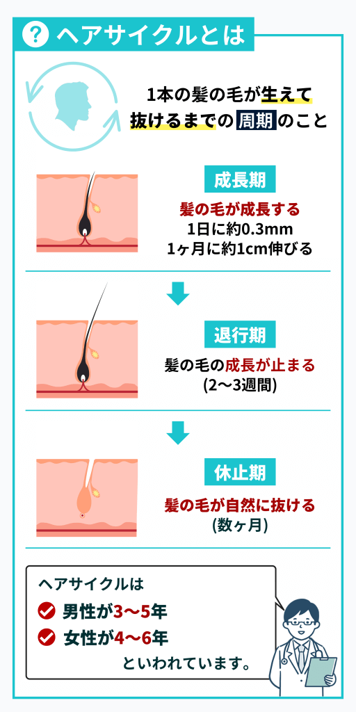 ヘアサイクルのお役立ち情報