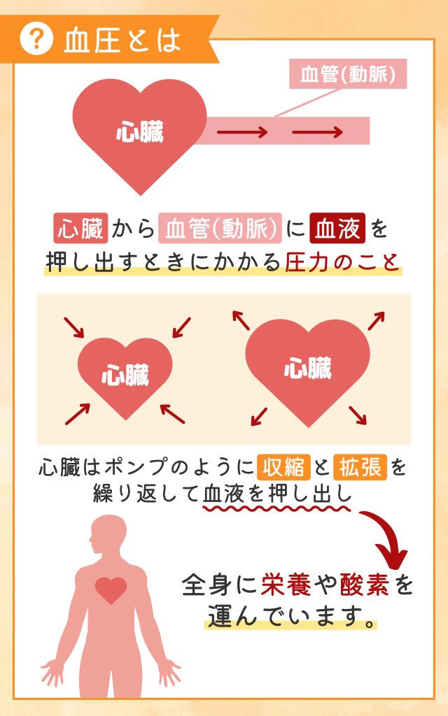 血圧のお役立ち情報