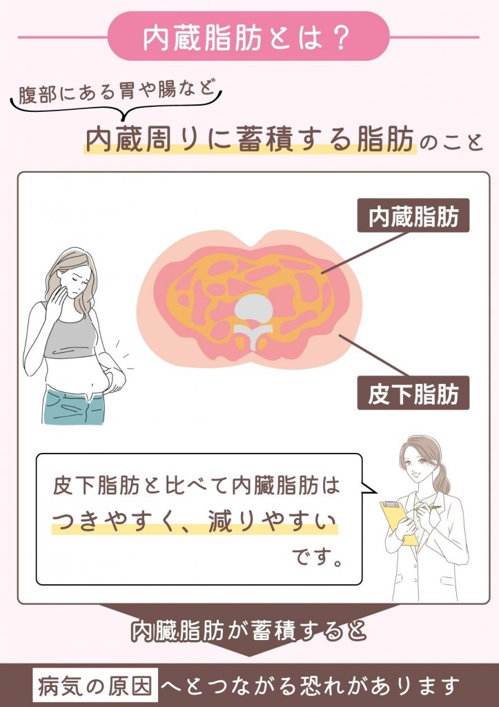 ダイエットに役立つ内臓脂肪の基礎知識