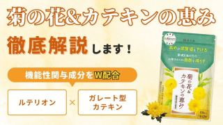 菊の花&カテキンの恵みの口コミ評判を徹底調査【効果が気になる人必見】 